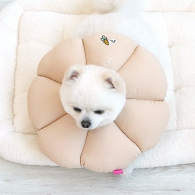 🐶 패리스독 강아지 넥카라 써보니! 🐾 할인 꿀팁 대방출