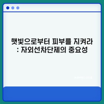 자외선차단제 완벽 가이드: 종류, 선택법, 효과적인 사용법까지!
