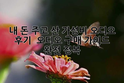 내 돈 주고 산 가성비 오디오 후기:  오디오 구매 가이드 완전 정복!