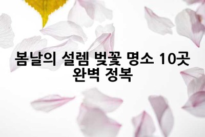 봄날의 설렘, 벚꽃 명소 10곳 완벽 정복!