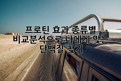 프로틴 효과: 종류별 비교분석으로 나에게 맞는 단백질 찾기!