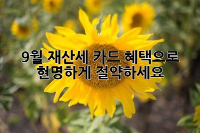 9월 재산세, 카드 혜택으로 현명하게 절약하세요!