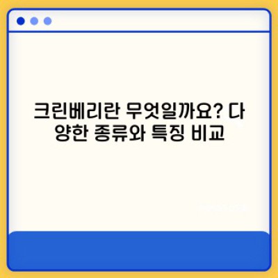 크린베리 효능과 부작용 완벽 정복! 2024년 최신 정보 총정리