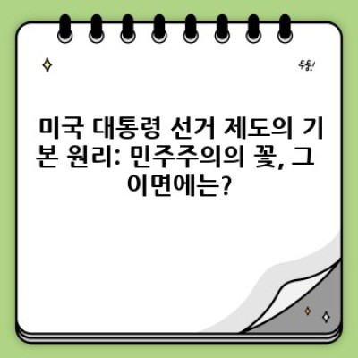 미국 대통령 선거 제도: 장단점 비교, 선거 과정 완벽 분석 (2024 최신 정보)