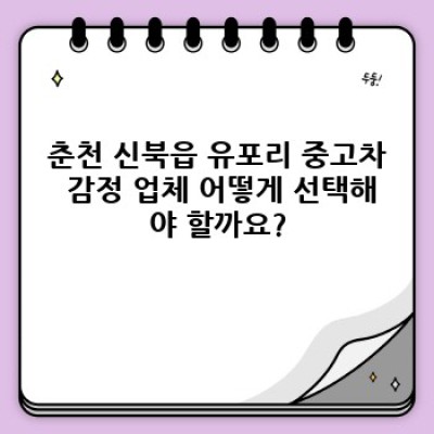 강원도 춘천 중고차 감정: 신북읍 유포리에서 중고차 제대로 파악하기!