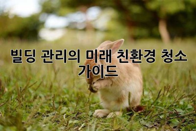 빌딩 관리의 미래: 친환경 청소 가이드