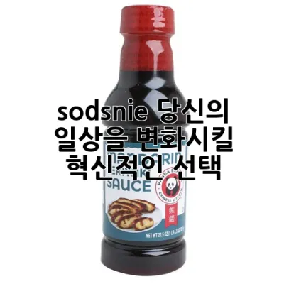 sodsnie: 당신의 일상을 변화시킬 혁신적인 선택 💡