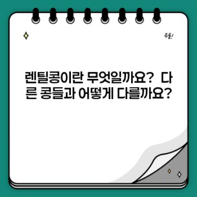 렌틸콩의 놀라운 효능: 건강, 영양, 그리고 선택 가이드 완벽 정복!