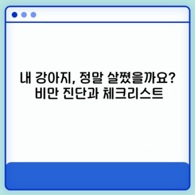 강아지 다이어트: 성공적인 체중 감량을 위한 완벽 가이드
