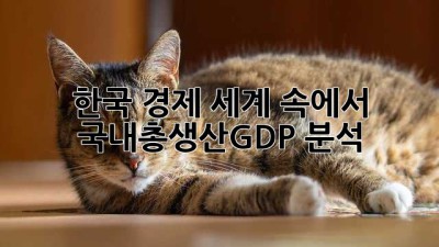 한국 경제, 세계 속에서: 국내총생산(GDP) 분석