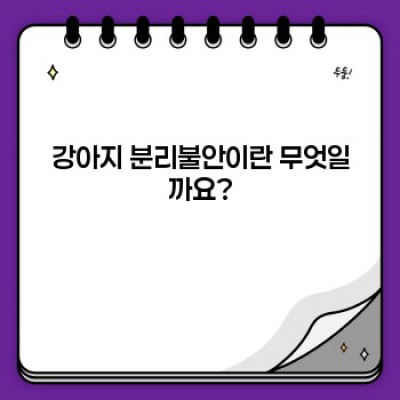 강아지 분리불안 완벽 가이드: 증상, 원인, 해결 방법 총정리!